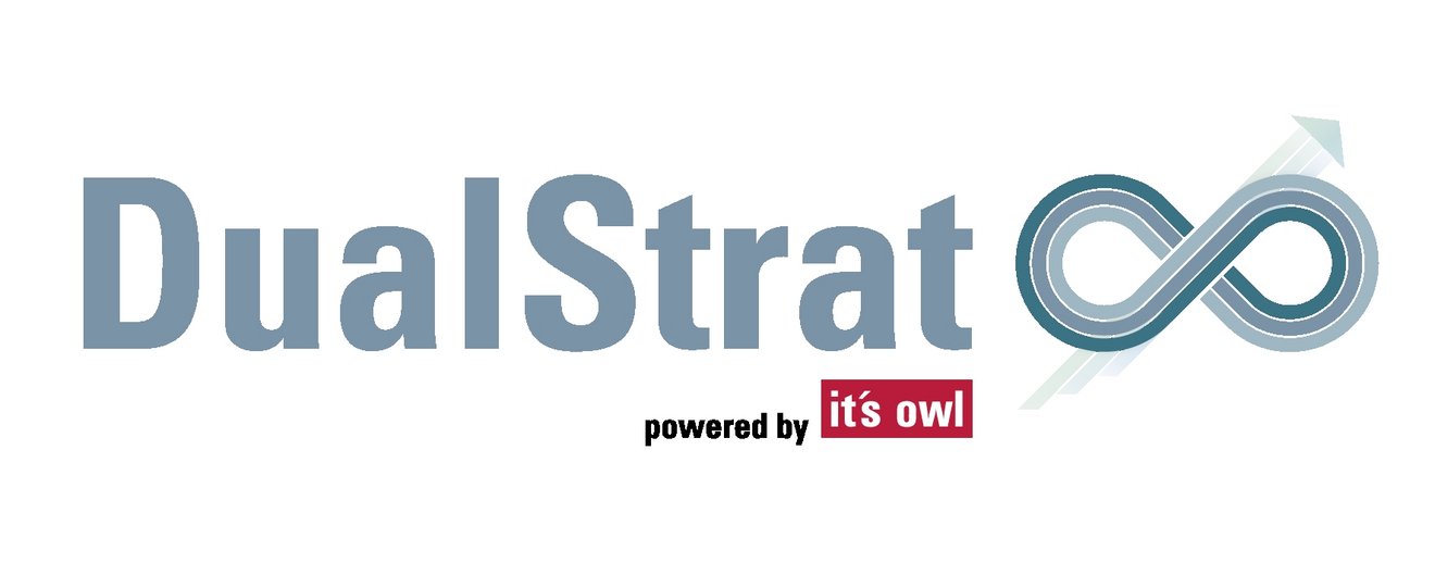 Projektlogo_DualStrat_für_KiN